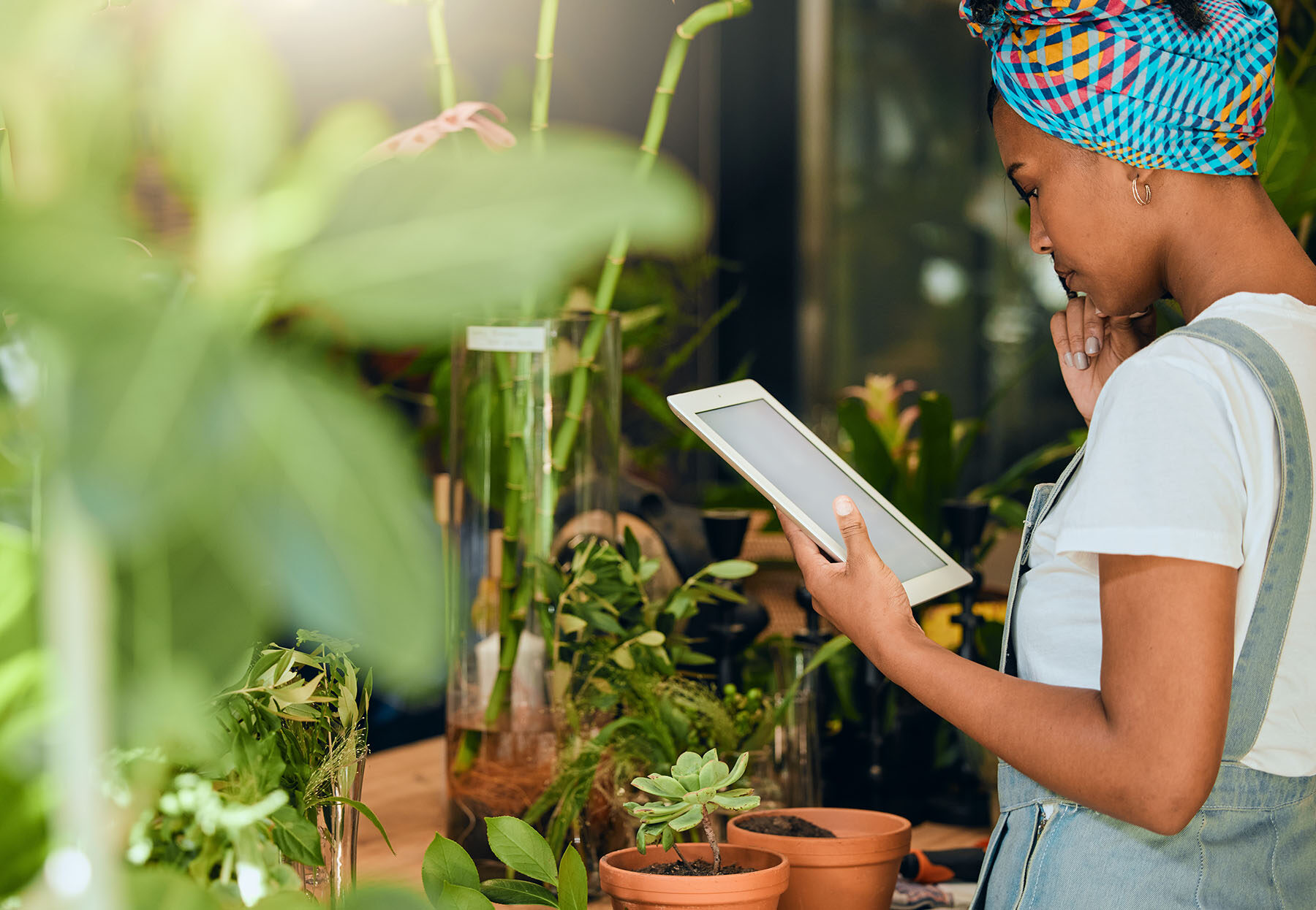 woman reading iPad at business