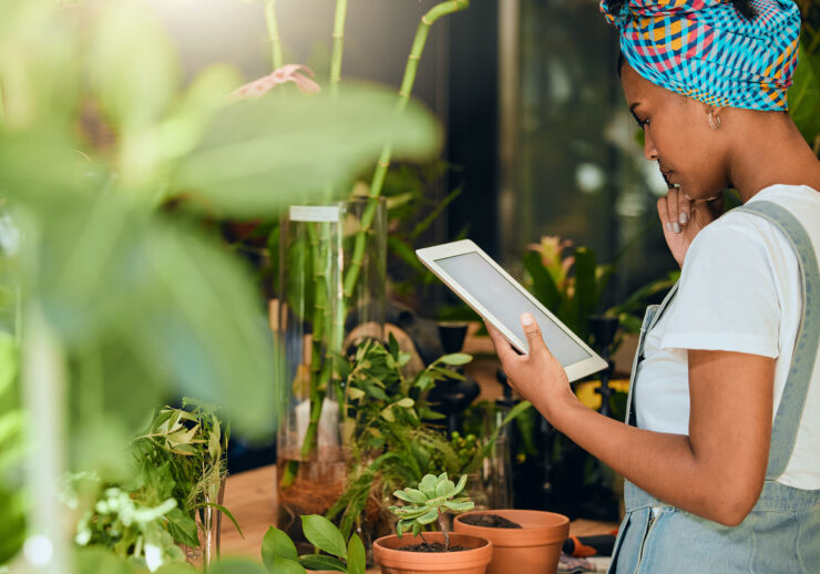 woman reading iPad at business