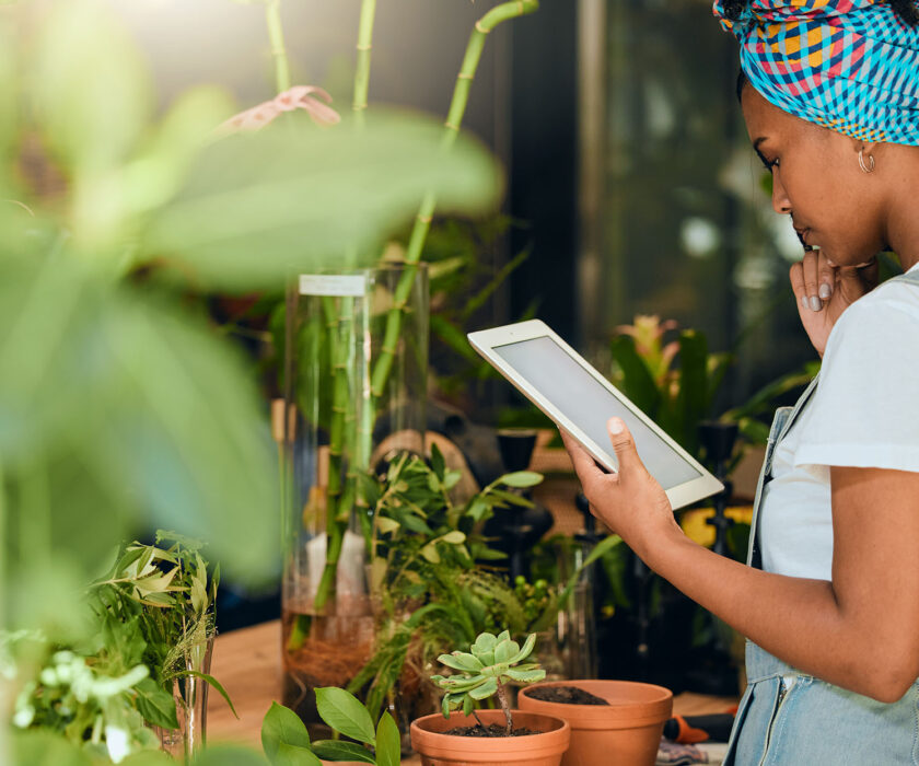 woman reading iPad at business